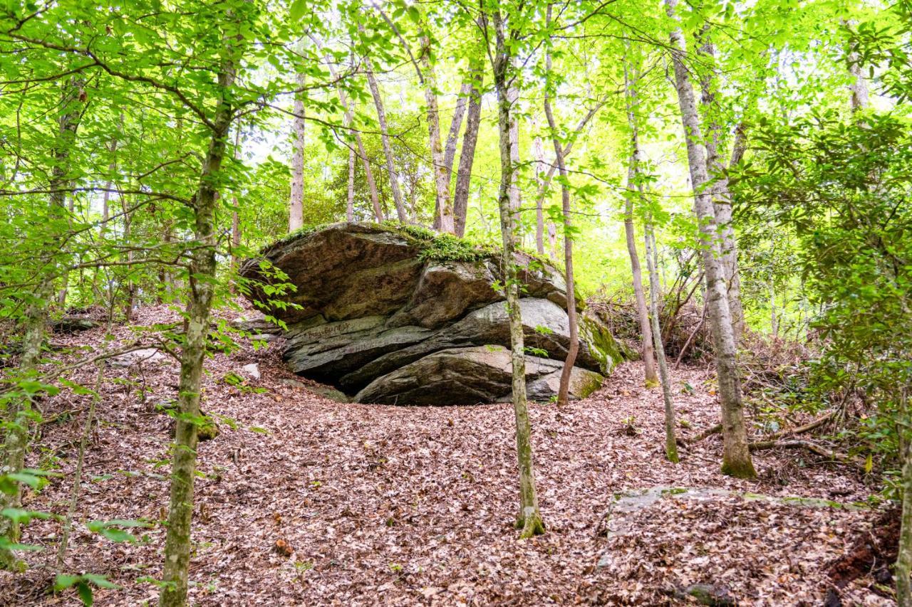 Foggy Bottom Cabins Pisgah Forest Exterior foto
